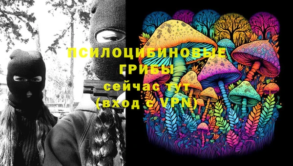 первитин Алексеевка